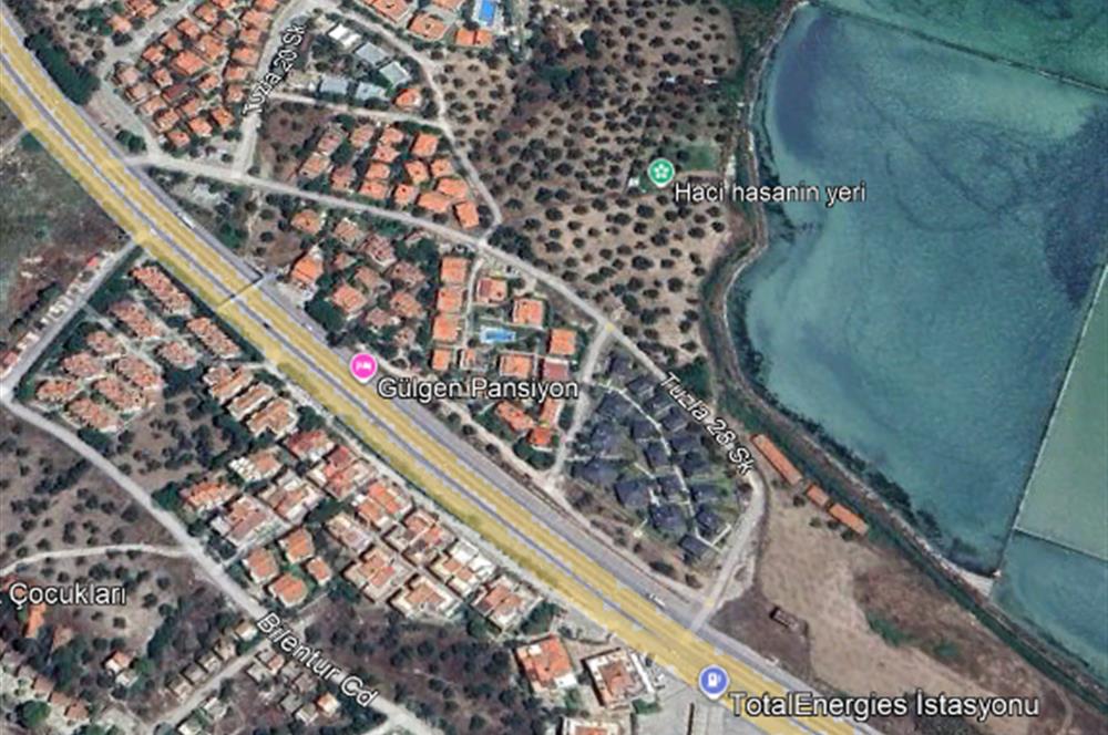 C21 Bal'dan Balıkesir Ayvalık Küçükköy’de Satılık Zeytinlik