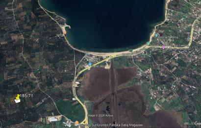 Century 21 Bal'dan Bandırma Edincik Mahallesinde Satılık Zeytinlik