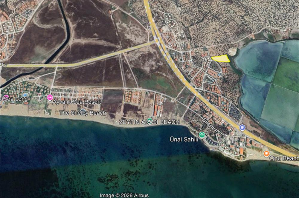 C21 Bal'dan Balıkesir Ayvalık Küçükköy’de Satılık Zeytinlik