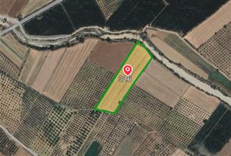 Muğla Satılık 12.400 m2 Arazi - 5 - 33142