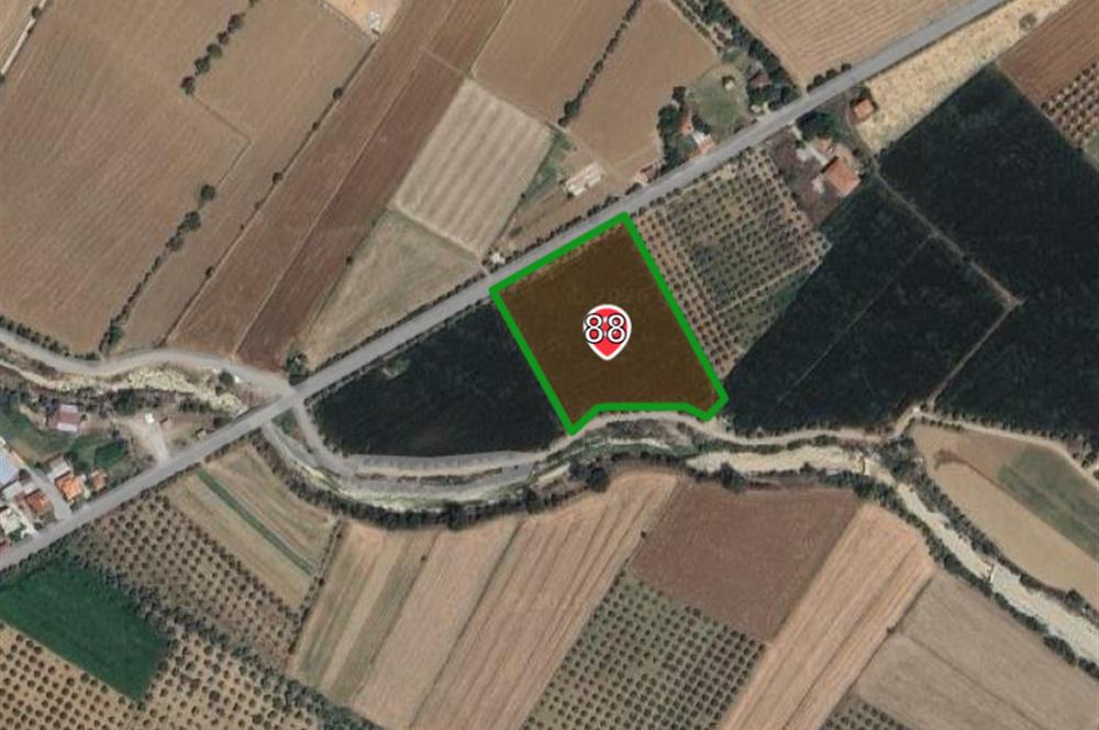 Muğla Satılık 9.600 m2 Satılık Arazi