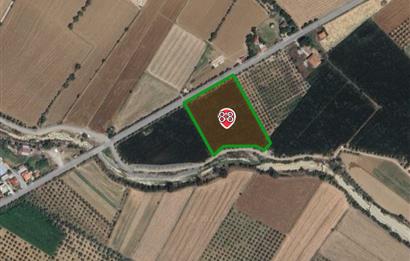 Muğla Satılık 9.600 m2 Satılık Arazi