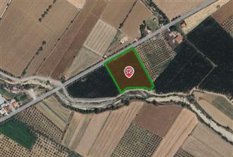 Muğla Satılık 9.600 m2 Satılık Arazi - 3 - 33147