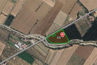 Muğla 9.000 m2 Satılık Arazi - 4 - 33143