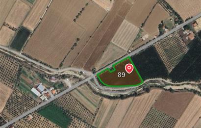 Muğla 9.000 m2 Satılık Arazi