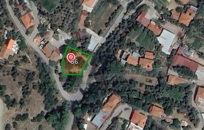 Muğla Satılık 316 m2 Cevizlik