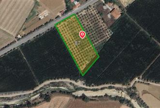 Muğla 5.500 m2 Satılık Arazi - 1 - 33150