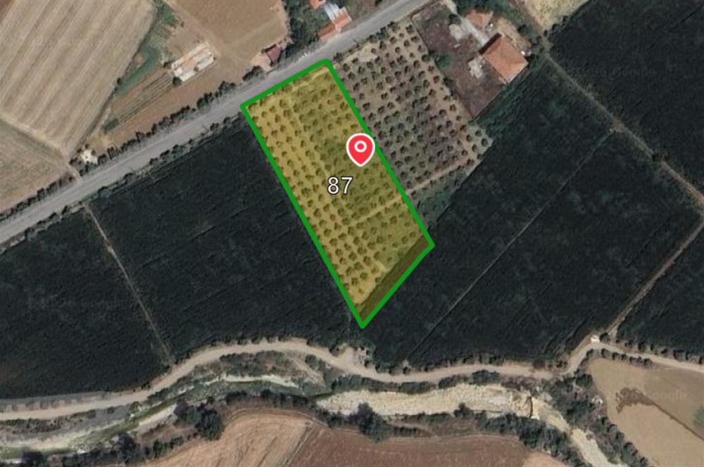 Muğla 5.500 m2 Satılık Arazi