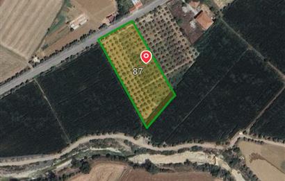 Muğla 5.500 m2 Satılık Arazi