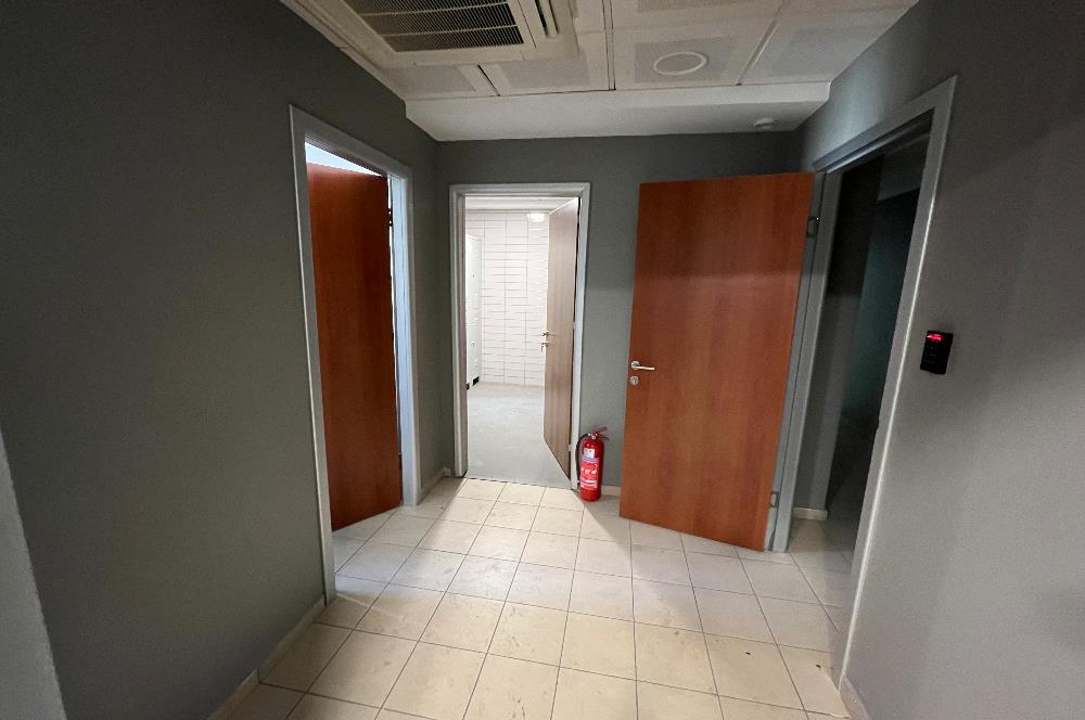 ÇINARDERE OLİMPİYAT CADDESİ DE MASRAFSIZ KİRALIK OFİS