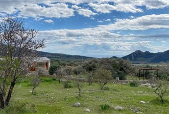 Datça Yaka Köy'de Deniz Manzaralı Yolu Olan 935 m2 Zeytinlik - 1 - 33152