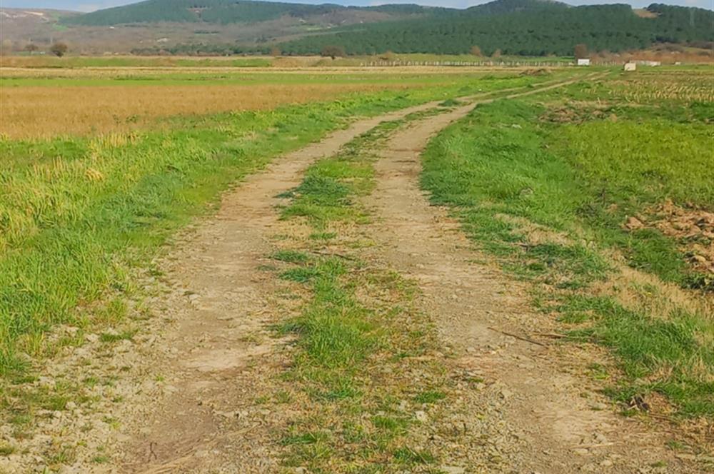 C21 LOCA GÖKÇEYAZI'DA HOBİ BAHÇESİNE UYGUN SÜPER TARLA