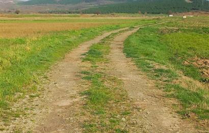 C21 LOCA GÖKÇEYAZI'DA HOBİ BAHÇESİNE UYGUN SÜPER TARLA