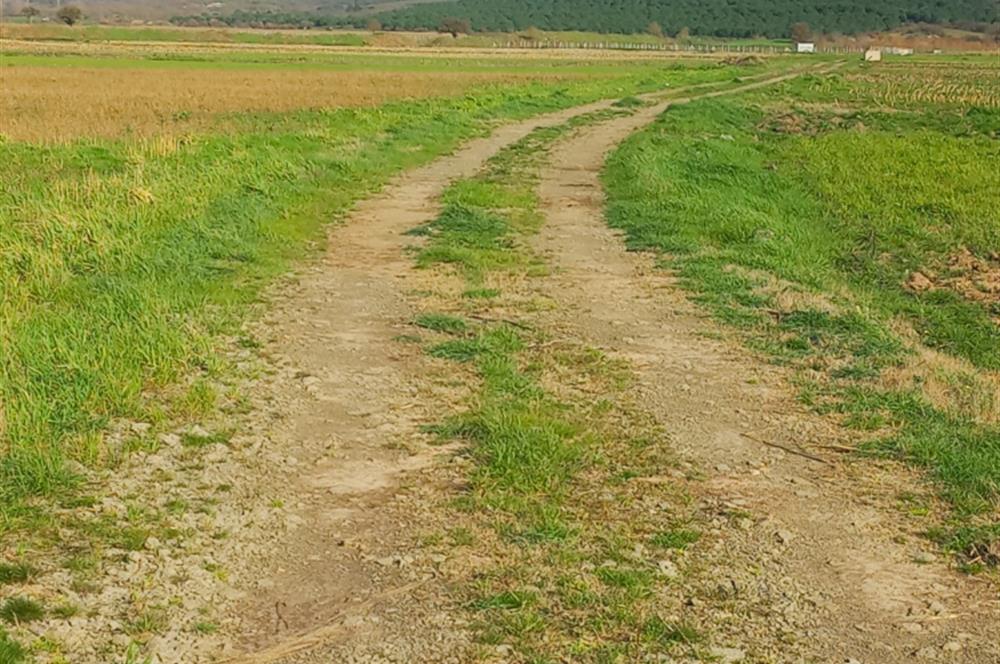 C21 LOCA GÖKÇEYAZI'DA HOBİ BAHÇESİNE UYGUN SÜPER TARLA