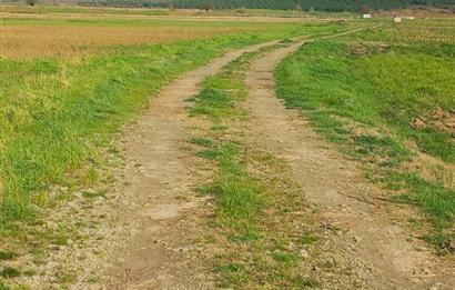 C21 LOCA GÖKÇEYAZI'DA HOBİ BAHÇESİNE UYGUN SÜPER TARLA