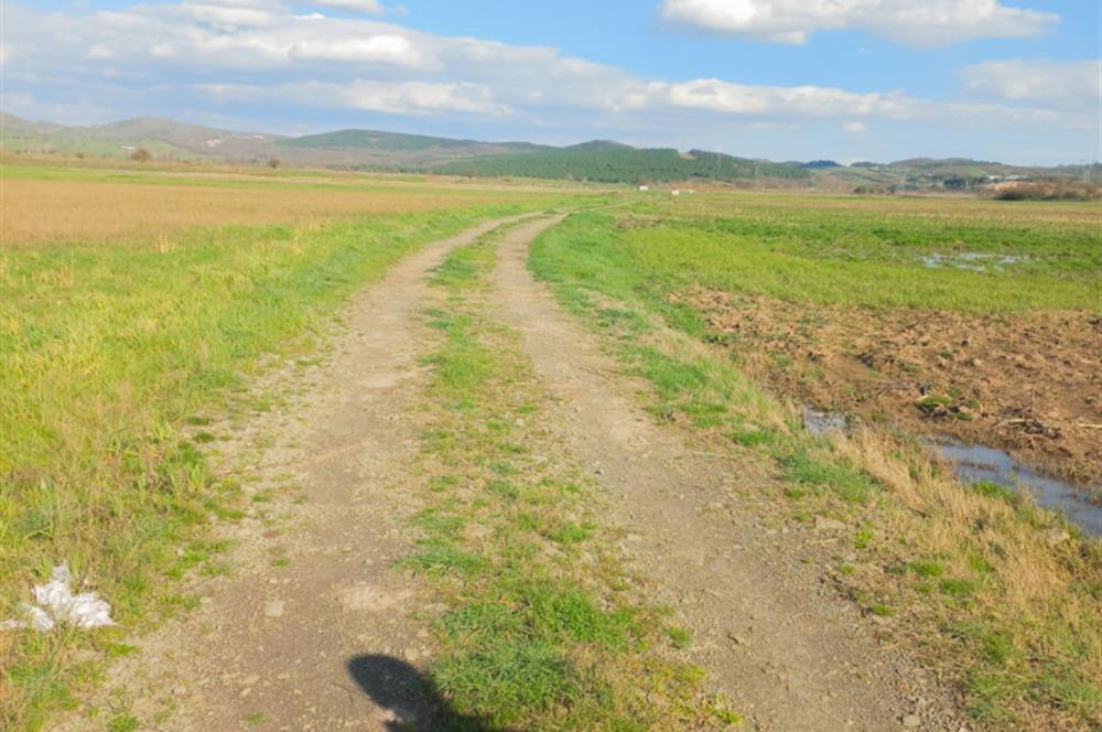 C21 LOCA GÖKÇEYAZI'DA HOBİ BAHÇESİNE UYGUN SÜPER TARLA