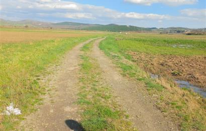 C21 LOCA GÖKÇEYAZI'DA HOBİ BAHÇESİNE UYGUN SÜPER TARLA