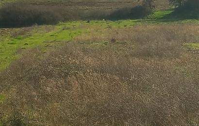 C21 LOCA GÖKÇEYAZI'DA HOBİ BAHÇESİNE UYGUN SÜPER TARLA