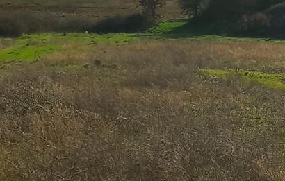 C21 LOCA GÖKÇEYAZI'DA HOBİ BAHÇESİNE UYGUN SÜPER TARLA