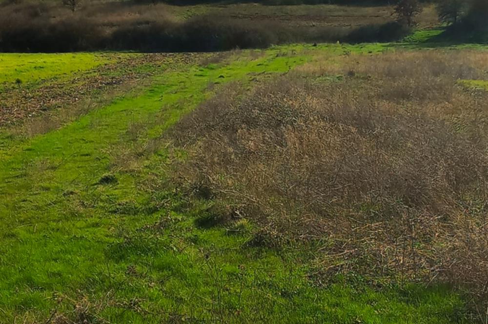 C21 LOCA GÖKÇEYAZI'DA HOBİ BAHÇESİNE UYGUN SÜPER TARLA