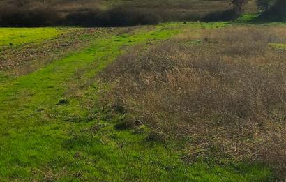 C21 LOCA GÖKÇEYAZI'DA HOBİ BAHÇESİNE UYGUN SÜPER TARLA
