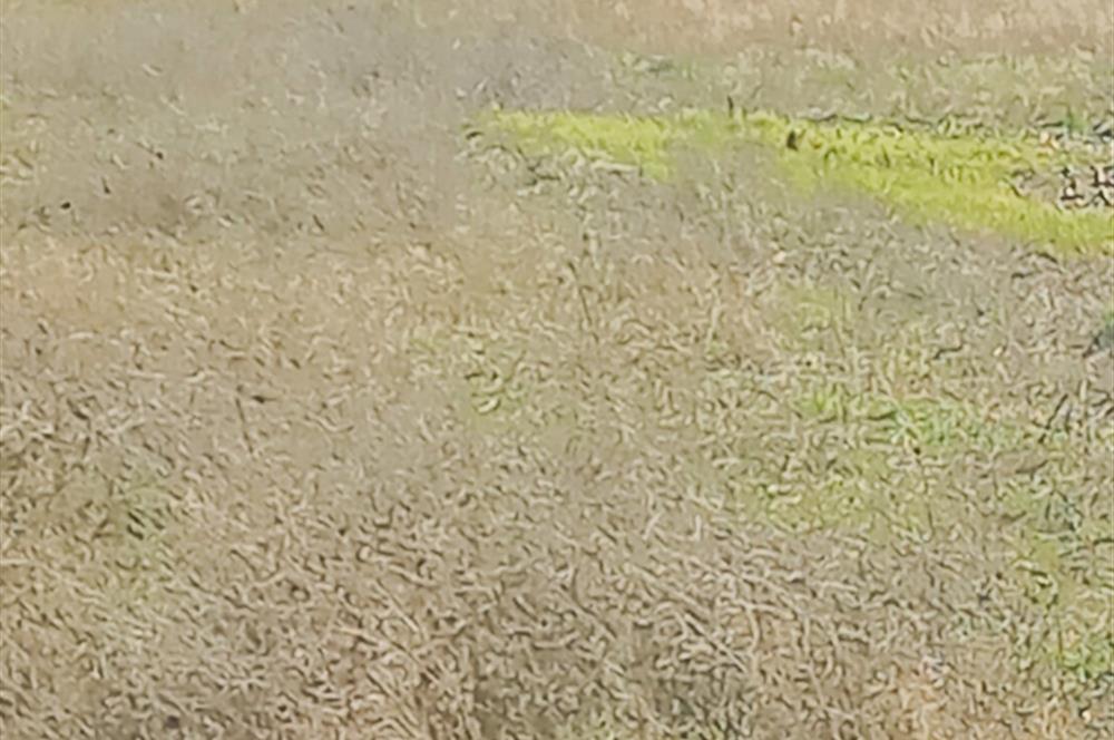 C21 LOCA GÖKÇEYAZI'DA HOBİ BAHÇESİNE UYGUN SÜPER TARLA