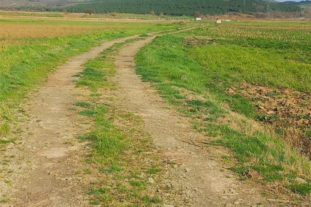 C21 LOCA GÖKÇEYAZI'DA HOBİ BAHÇESİNE UYGUN SÜPER TARLA