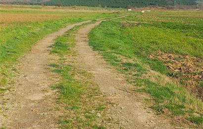 C21 LOCA GÖKÇEYAZI'DA HOBİ BAHÇESİNE UYGUN SÜPER TARLA