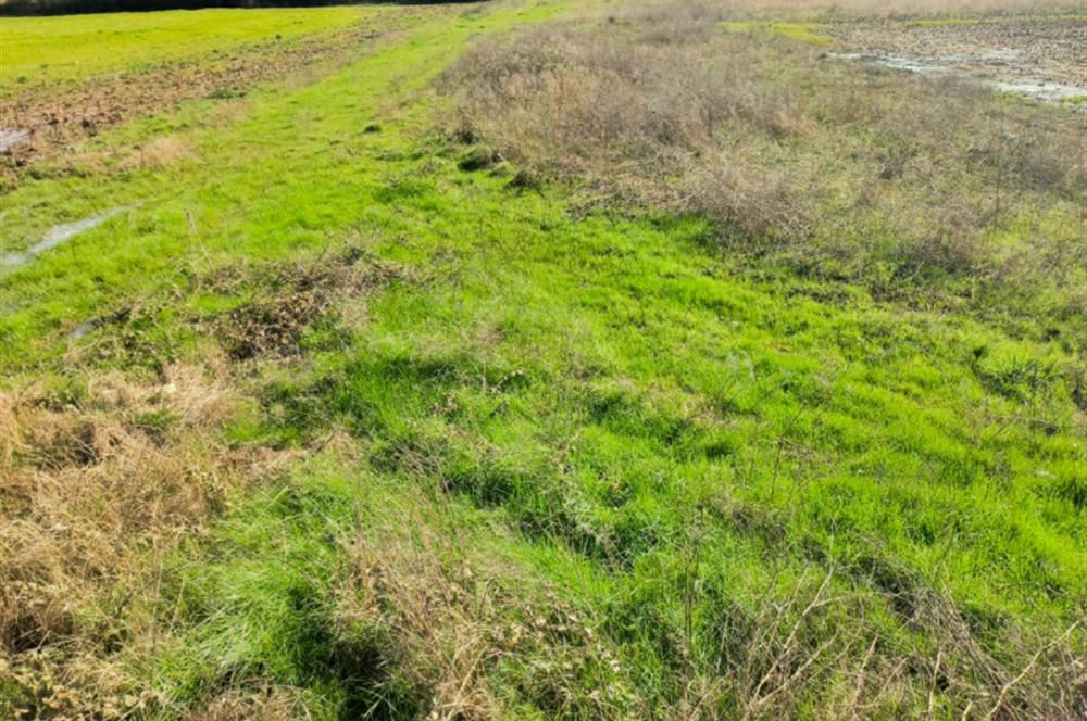 C21 LOCA GÖKÇEYAZI'DA HOBİ BAHÇESİNE UYGUN SÜPER TARLA