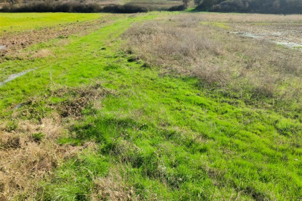 C21 LOCA GÖKÇEYAZI'DA HOBİ BAHÇESİNE UYGUN SÜPER TARLA