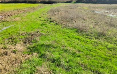 C21 LOCA GÖKÇEYAZI'DA HOBİ BAHÇESİNE UYGUN SÜPER TARLA