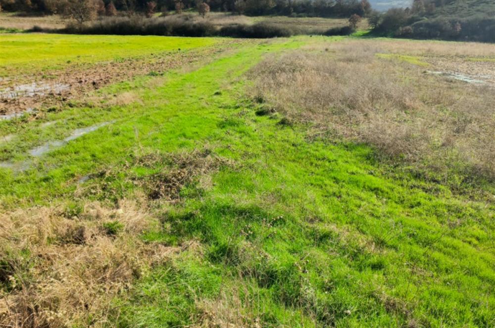 C21 LOCA GÖKÇEYAZI'DA HOBİ BAHÇESİNE UYGUN SÜPER TARLA