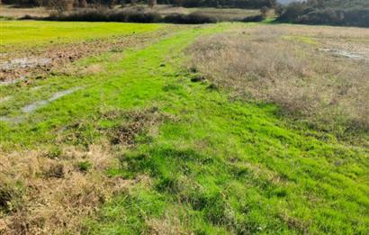 C21 LOCA GÖKÇEYAZI'DA HOBİ BAHÇESİNE UYGUN SÜPER TARLA