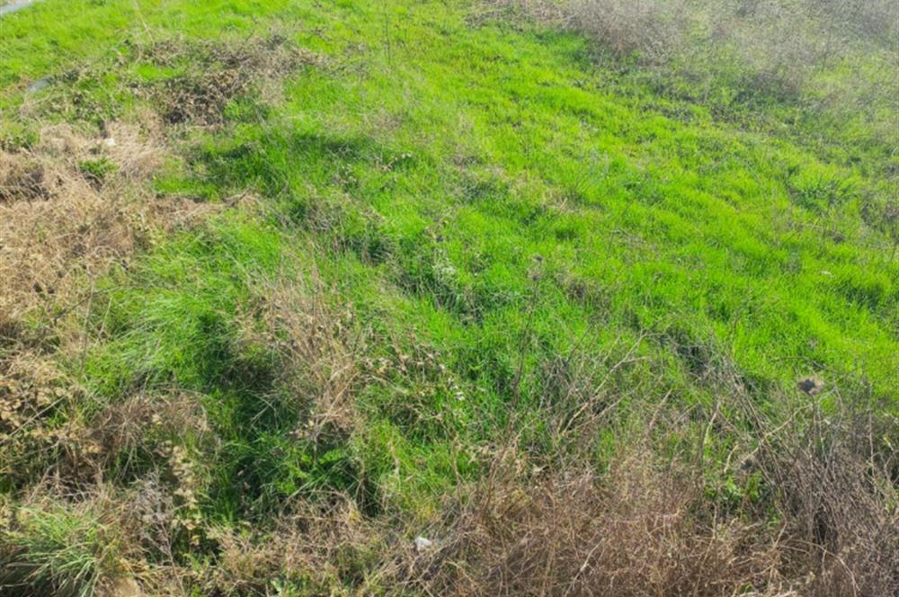 C21 LOCA GÖKÇEYAZI'DA HOBİ BAHÇESİNE UYGUN SÜPER TARLA