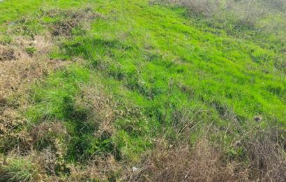 C21 LOCA GÖKÇEYAZI'DA HOBİ BAHÇESİNE UYGUN SÜPER TARLA