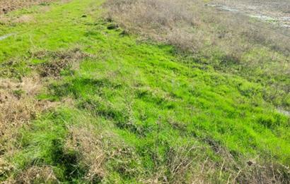 C21 LOCA GÖKÇEYAZI'DA HOBİ BAHÇESİNE UYGUN SÜPER TARLA