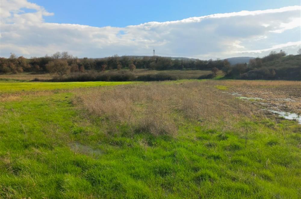 C21 LOCA GÖKÇEYAZI'DA HOBİ BAHÇESİNE UYGUN SÜPER TARLA