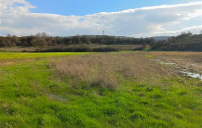 C21 LOCA GÖKÇEYAZI'DA HOBİ BAHÇESİNE UYGUN SÜPER TARLA
