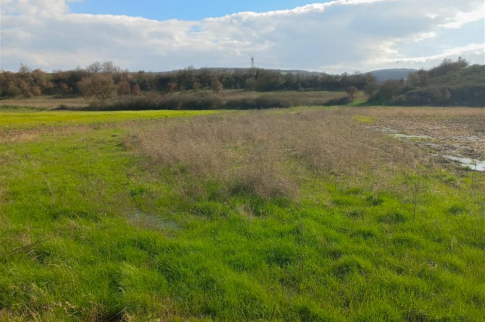 C21 LOCA GÖKÇEYAZI'DA HOBİ BAHÇESİNE UYGUN SÜPER TARLA