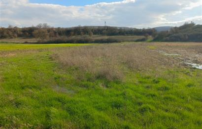 C21 LOCA GÖKÇEYAZI'DA HOBİ BAHÇESİNE UYGUN SÜPER TARLA