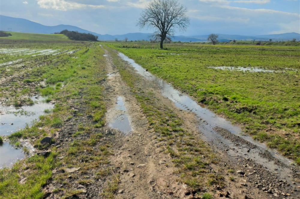 C21 LOCA GÖKÇEYAZI'DA HOBİ BAHÇESİNE UYGUN SÜPER TARLA