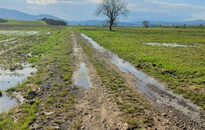 C21 LOCA GÖKÇEYAZI'DA HOBİ BAHÇESİNE UYGUN SÜPER TARLA