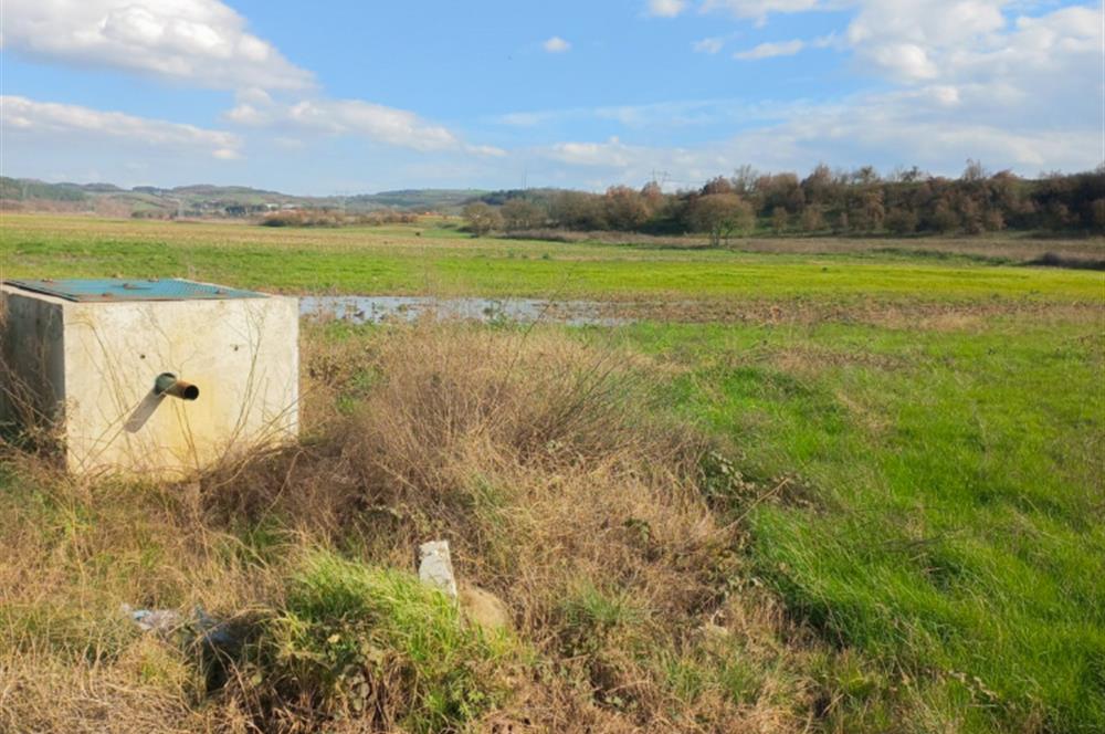 C21 LOCA GÖKÇEYAZI'DA HOBİ BAHÇESİNE UYGUN SÜPER TARLA