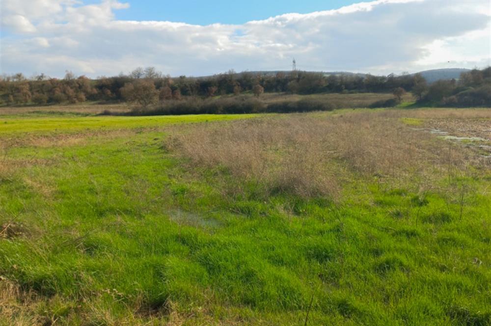 C21 LOCA GÖKÇEYAZI'DA HOBİ BAHÇESİNE UYGUN SÜPER TARLA