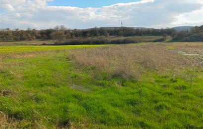 C21 LOCA GÖKÇEYAZI'DA HOBİ BAHÇESİNE UYGUN SÜPER TARLA