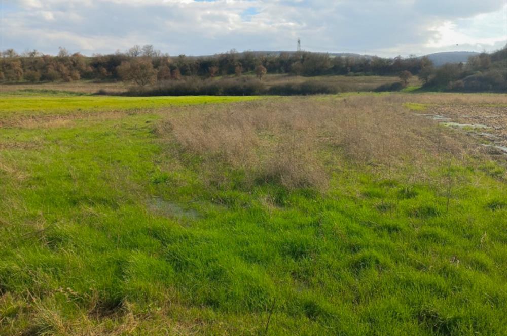 C21 LOCA GÖKÇEYAZI'DA HOBİ BAHÇESİNE UYGUN SÜPER TARLA