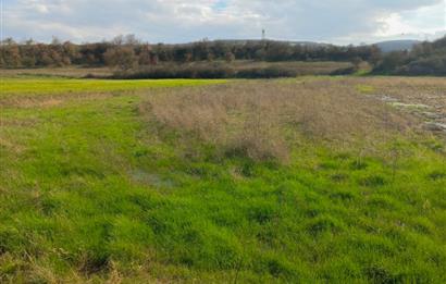 C21 LOCA GÖKÇEYAZI'DA HOBİ BAHÇESİNE UYGUN SÜPER TARLA