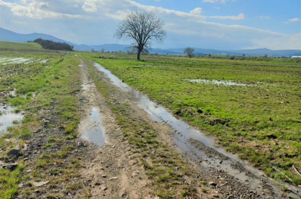 C21 LOCA GÖKÇEYAZI'DA HOBİ BAHÇESİNE UYGUN SÜPER TARLA