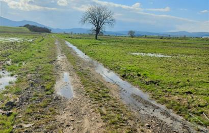 C21 LOCA GÖKÇEYAZI'DA HOBİ BAHÇESİNE UYGUN SÜPER TARLA