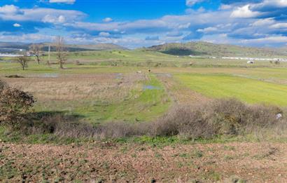 C21 LOCA GÖKÇEYAZI'DA HOBİ BAHÇESİNE UYGUN SÜPER TARLA